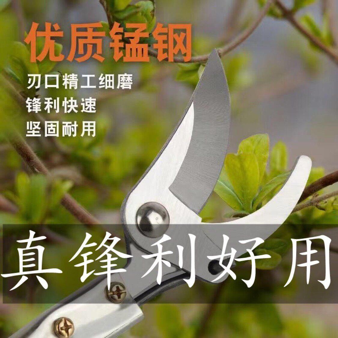 【果农帮手】园林高枝修剪器，SK5锰钢刀头，更锋利更耐用