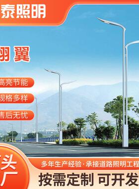 市电路灯6米8米10米12米led单臂双臂路灯户外防水led路灯