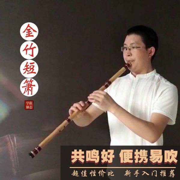 初学洞箫短萧专业演奏考级乐器G调玉屏箫金竹八孔古风零基础