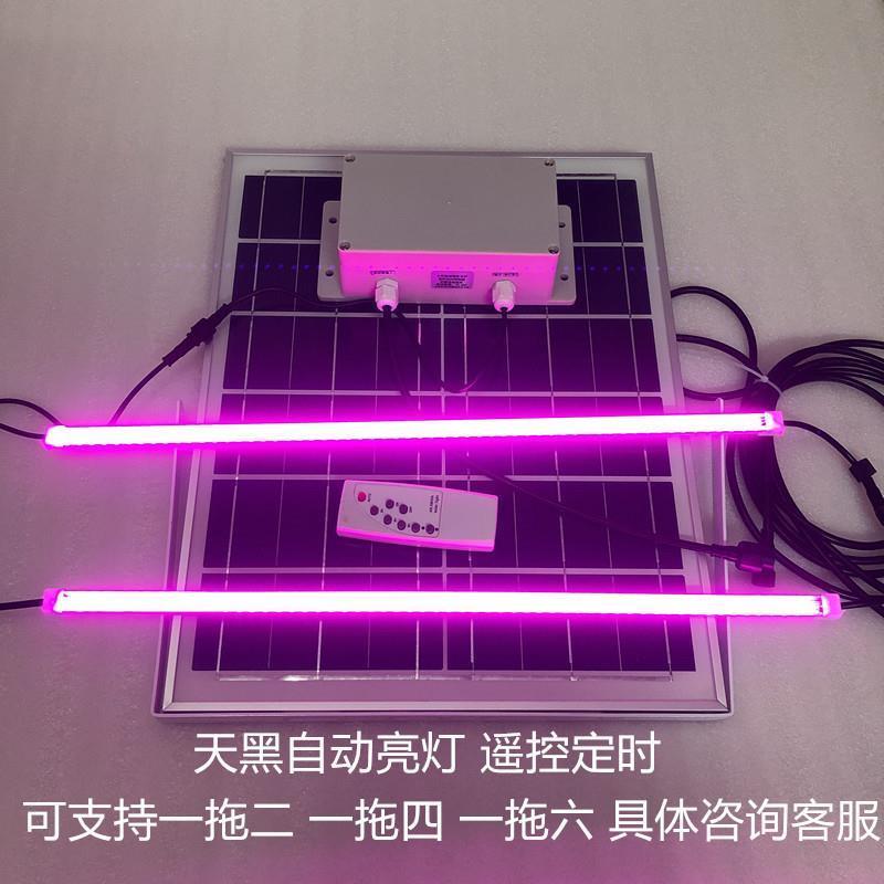 太阳能植物生长灯多肉花卉蔬菜盆栽补光硬灯条全光谱一拖二防水款