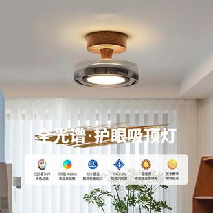 意式极简玻璃过道走廊灯高级感轻奢衣帽间阳台玄关吸顶灯