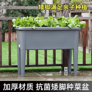 家庭种植箱长方形花盆高脚顶楼蔬菜神器栽菜盆 阳台种菜盆2023新款
