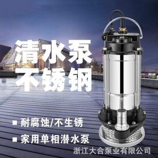 抽水泵潜污泵 不锈钢小型潜水泵220V清水泵农用相压微型边立式
