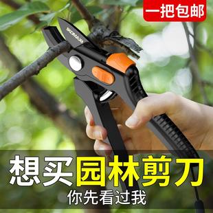 德国日本进口技术园艺剪刀果树修枝剪园林省力修剪树枝修花枝工具