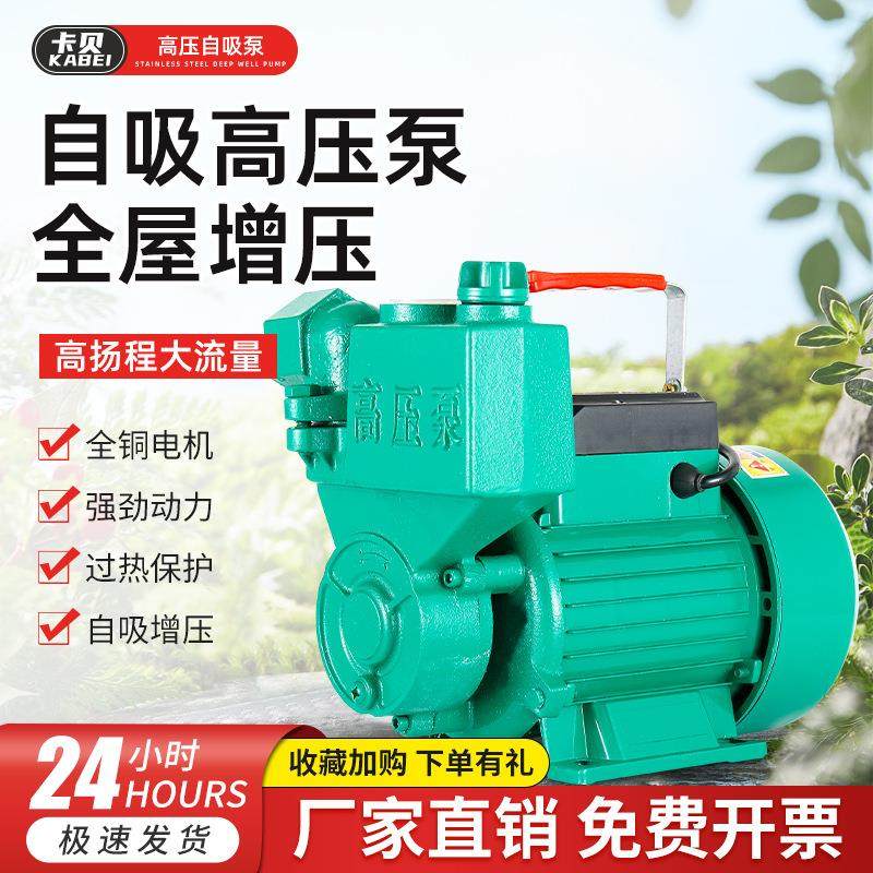 家用220V高压泵井水抽水机自来水增压泵高扬程大流量农田灌溉泵