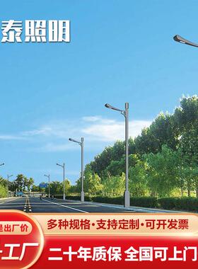 瑞彩祥云路灯厂家直销6米8米10米景观路灯户外防水led路灯