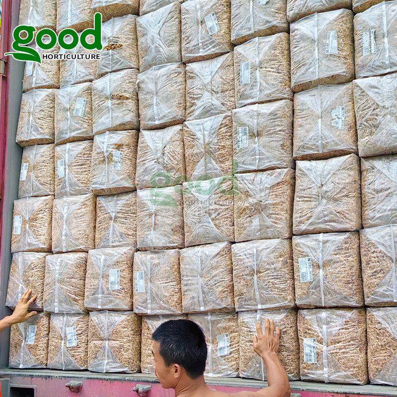 格美特智利水苔SPHAGNUM MOSS7星红草蝴蝶兰 热植 食虫草栽培基质,鲜花速递/花卉仿真/绿植园艺,介质/营养土,淘宝优惠券,粉丝福利购,淘宝优惠卷