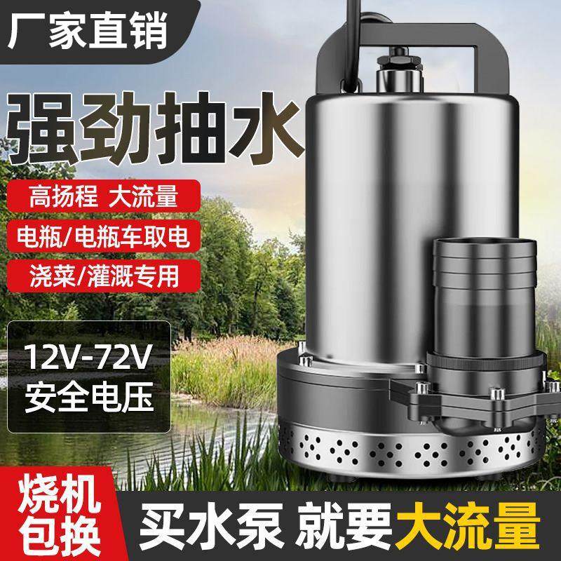 48v抽水泵60v电动车抽水泵灌溉农用电动车大功率小型直流潜水泵72