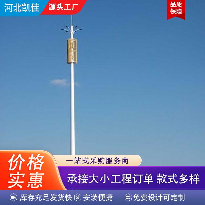 厂家供应钢结构广场球场照明灯杆工艺塔道路路灯塔