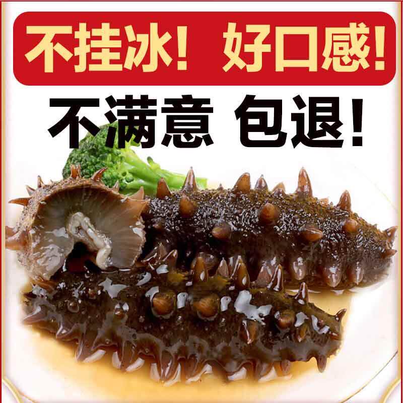 念参堂即食海参500g大连长岛鲜活刺参辽特价海生礼盒单个装