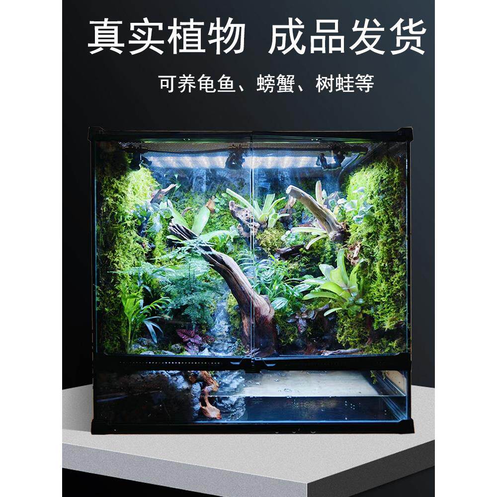 成品雨林生态缸热带植物造景守宫蜥蜴爬宠饲养箱全套养鱼缸可定制