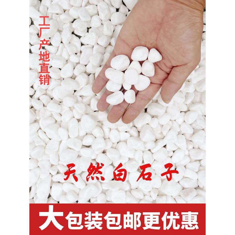 白色花石造景花盆天然白石子庭院装饰细砂石英砂灭烟石铺路石石米