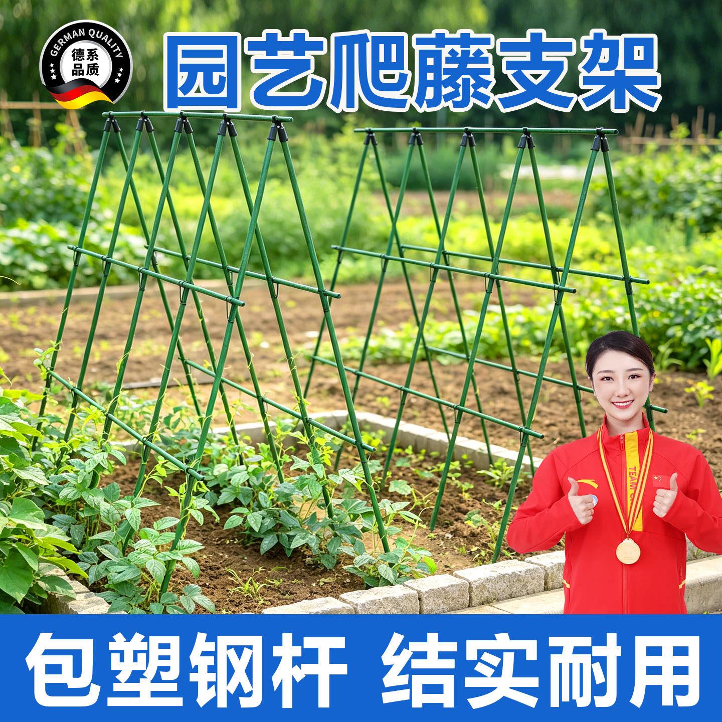 菜园家用蔬菜爬藤杆黄瓜苗豆角爬藤架子搭棚子三角支架铁艺花架