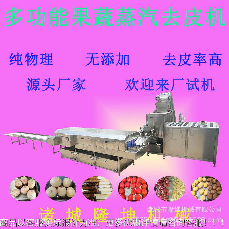 全自能动红柿去皮机 圣果西蒸汽KAN脱皮机 多功脆柿子果蔬女去皮