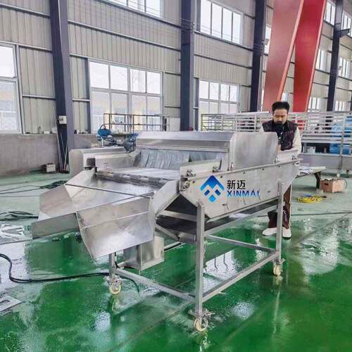 商用沙丁鱼挂冰机鲍鱼穿冰衣机龙虾尾速冻重保鲜设备挂冰机