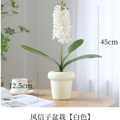 高档蝴蝶兰仿真花盆栽假花摆设ins简约风客厅桌面花艺摆件风信子