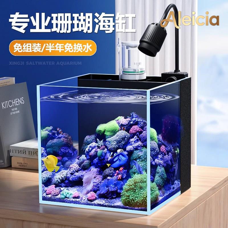 Alecia海水缸背滤超白玻璃新手鱼缸中小微型珊瑚缸小型桌面办公室