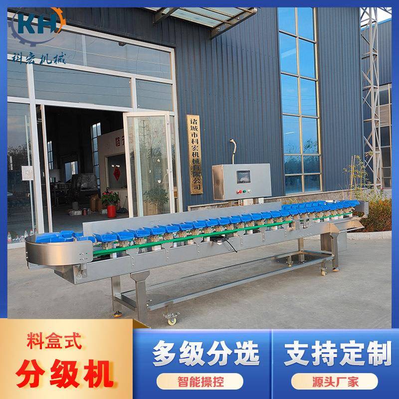 科宏小龙虾重量分选机虾全自动在线检重机海鲜自动分拣机现货