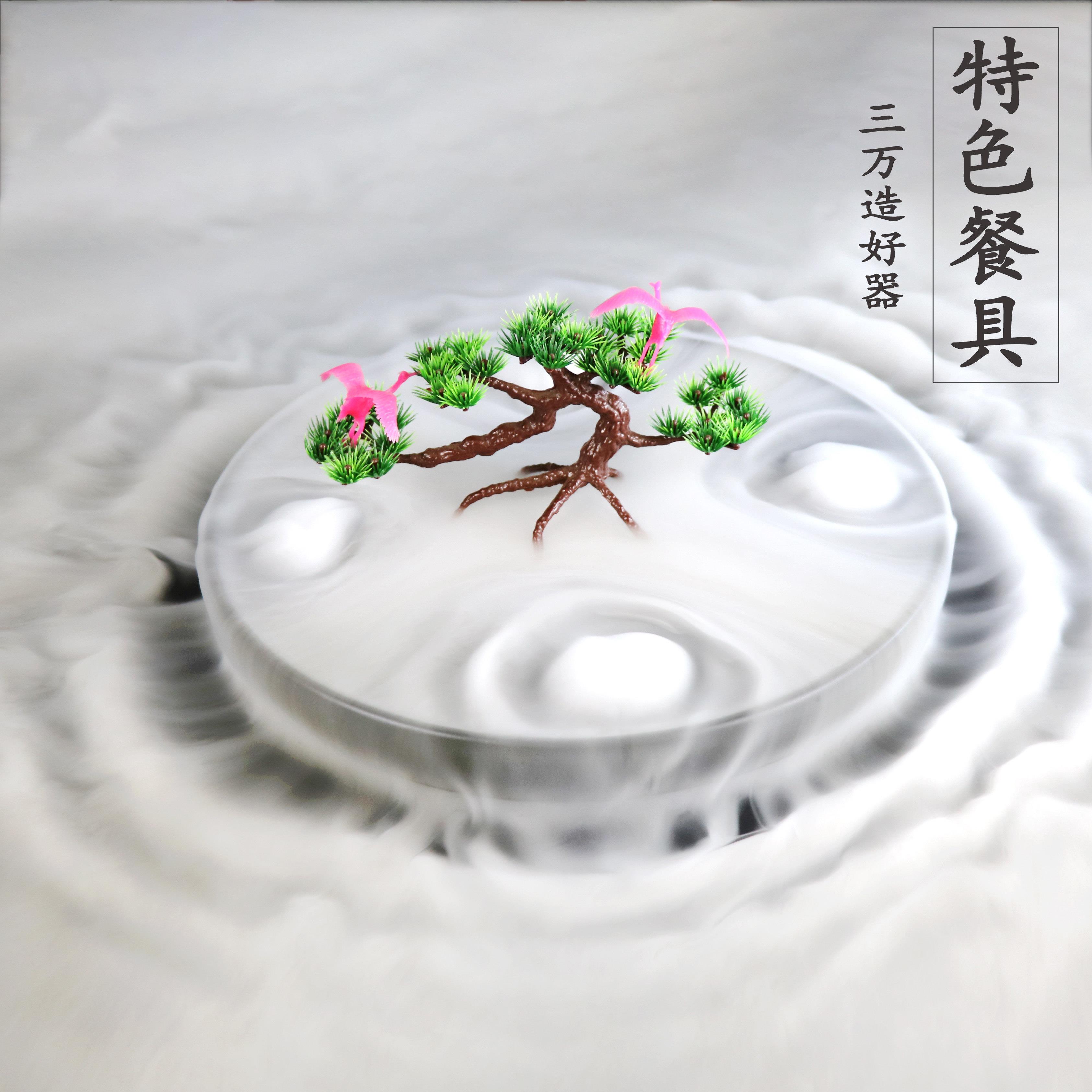 干冰盘子创意餐具冒烟意境菜高档主题餐厅菜盘陶瓷圆形刺身盘商用