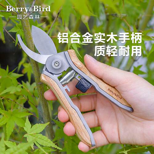 Berry&Bird园艺修枝剪刀树枝盆栽花枝剪家用修剪水曲柳木柄复古bb