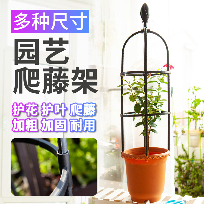 鸟笼爬藤架室外藤本植物支撑杆月季铁线莲L花支架园艺花架爬藤支