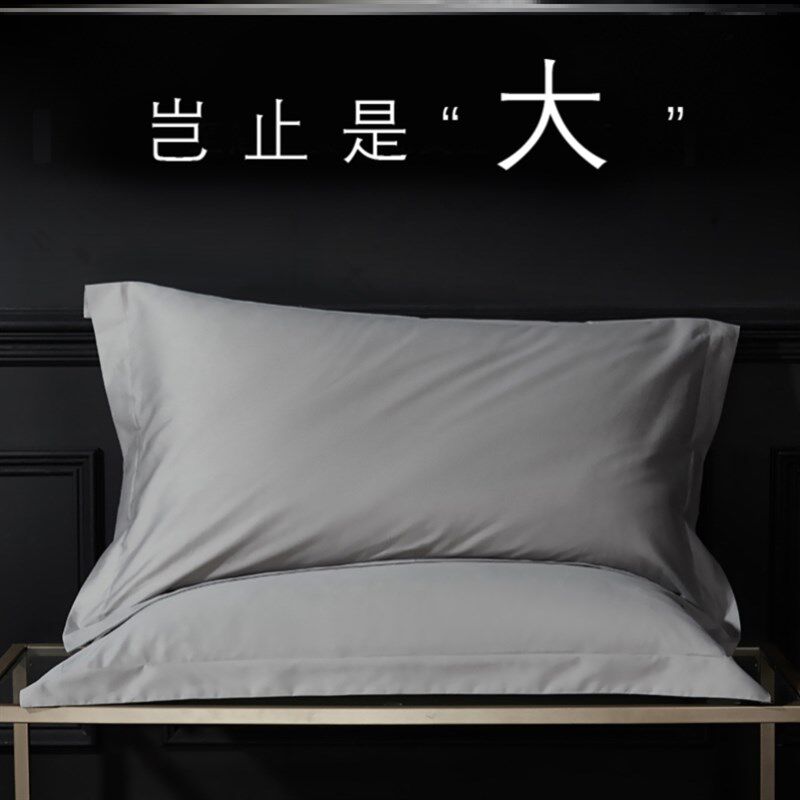 加大枕套a大尺寸50x80单个大号60x90一只装宾馆酒店专用特大枕头