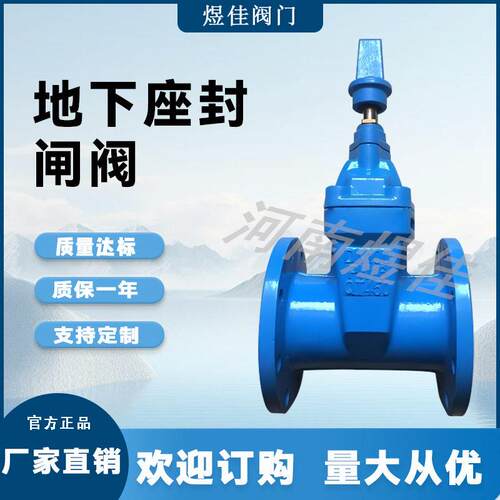RVCX地理式软密封法兰闸阀SZ45X地下弹性座封直理阀门DN100150