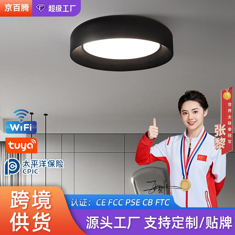led吸顶灯 意式极简卧室灯阳台过道玄关灯黑色圆形书房主卧吸顶灯