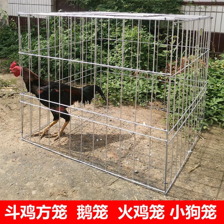 方笼斗鸡方罩笼斗鸡罩笼跑笼火鸡笼鹅笼鸭笼斗鸡笼子拆装折叠笼