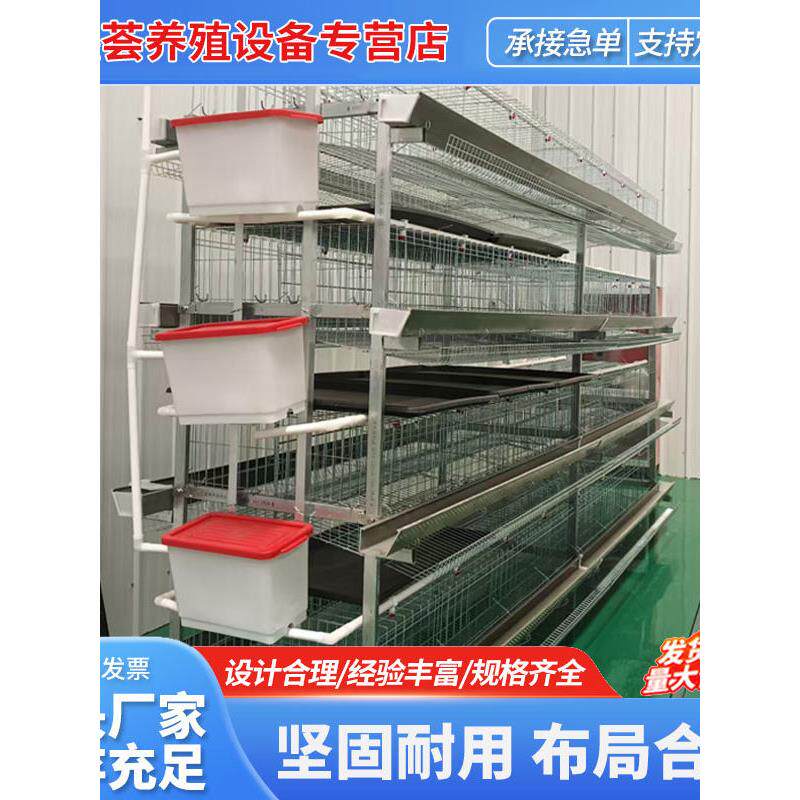H立式蛋鸡笼方管支架冷镀锌三层四层蛋鸡笼养殖场专用绿槽白槽