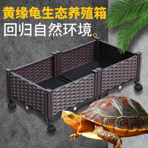 黄缘龟专用开放式水陆生态缸 适用半水龟饲养环境 塑质养殖箱带轮