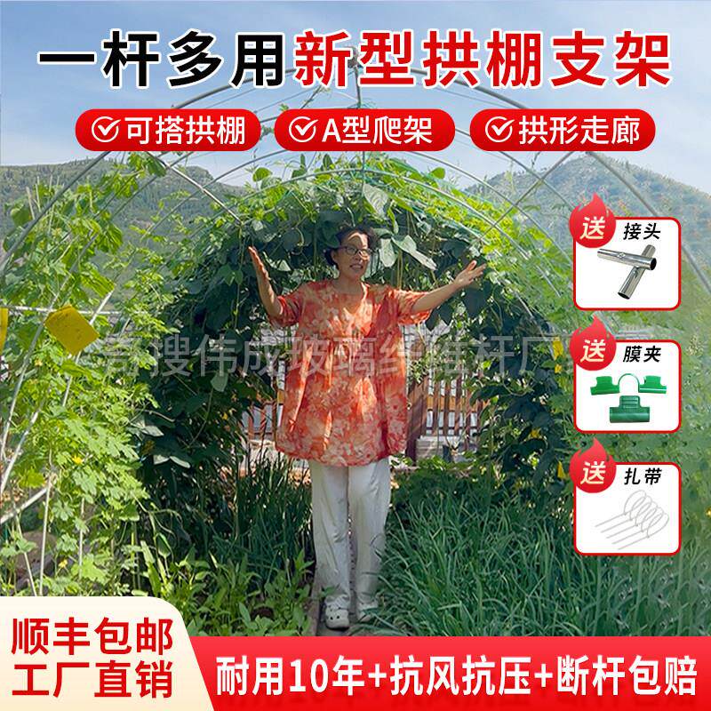 新型小拱棚支架搭棚子瓜果种菜爬藤支撑杆玻璃纤维大棚支架拱杆