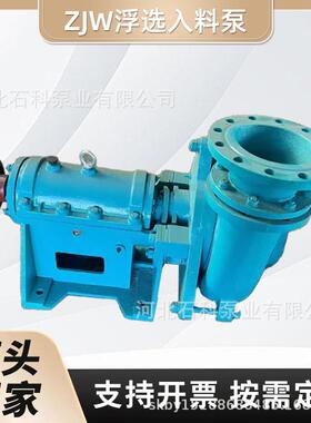 ZJW浮选入料泵ZJD旋流器泵筛下水泵污水泥浆泵洗煤抽沙循环水泵