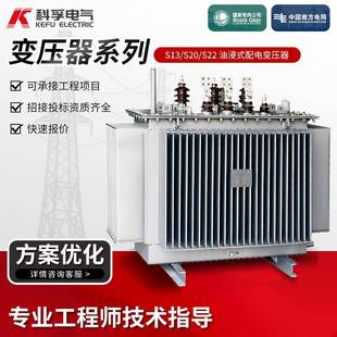 变压器 S13 S20 S22油浸式 配电变压器配电变压器10KV油浸式