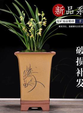包邮宜兴紫砂简约花盆兰花盆君子兰点彩高四方室内绿植盆景