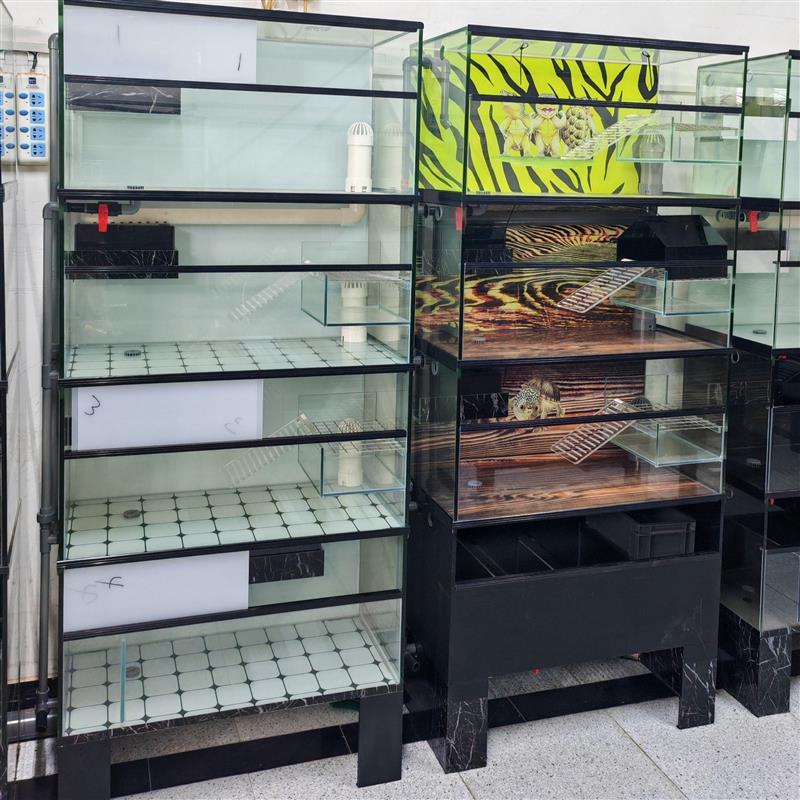乌龟繁殖下蛋排缸一拖三四层乌龟缸多层鱼缸底滤排缸订做金龟直销