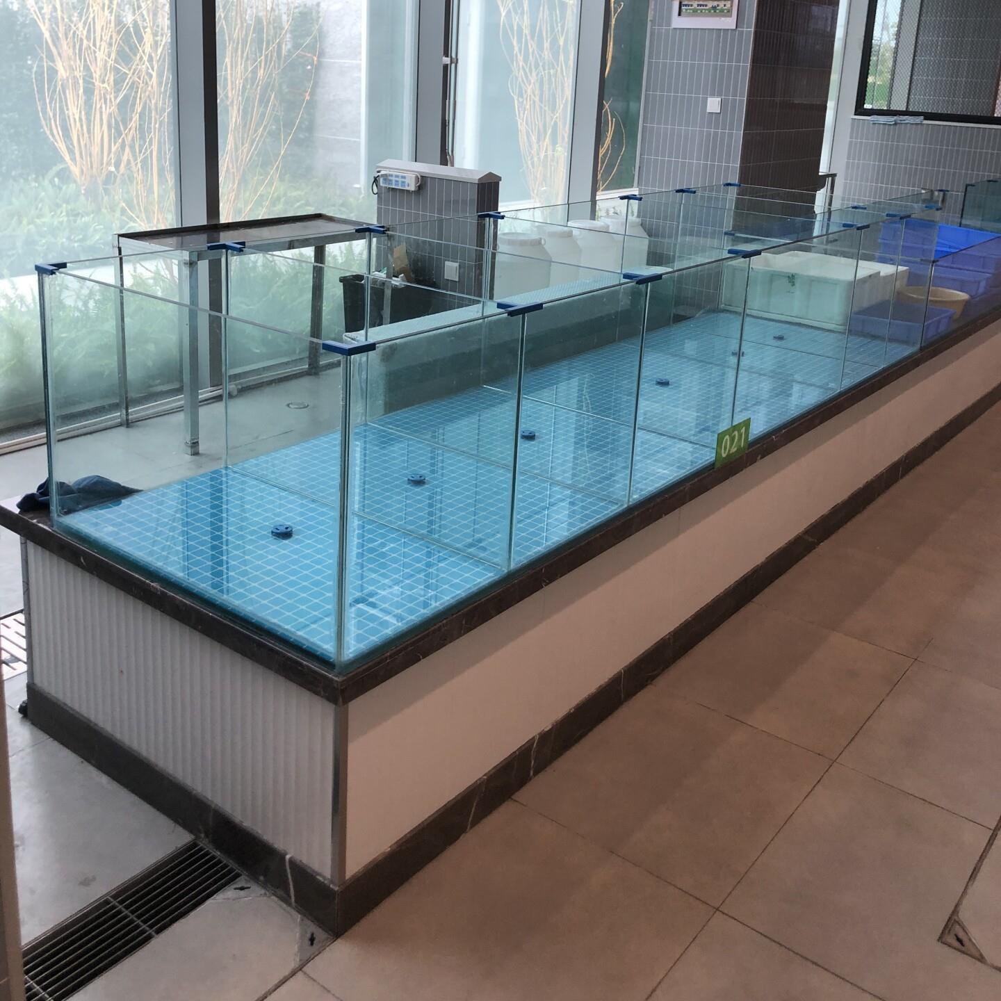 菜场海鲜池商用一体式鱼缸餐厅淡水缸淡水鱼缸海鲜缸龙虾缸贝类池