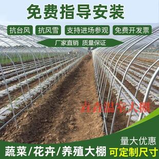 温室蔬菜种植大棚钢管骨架钢架拱形简易大棚养殖大棚拱杆一整套