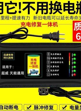 自动关机电动车铅酸蓄电池充电器48V12AH60V20AH72V30A两轮通用三