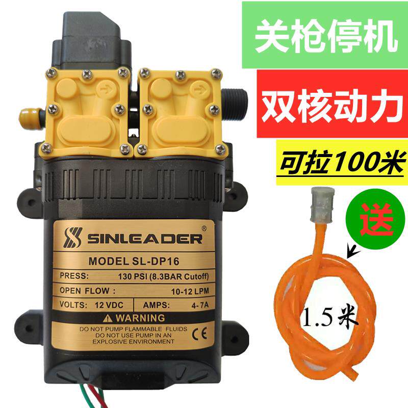 喷雾器双泵12V双核动力水泵洗车水泵农用高压双泵智能双泵抽水泵