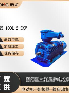 防爆电机型号YBX5-100L-23WIP65B3高压防爆电机