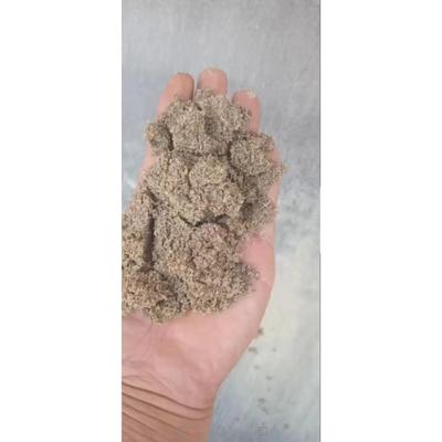 黄沙细沙消防沙粗沙沙子散装河沙建筑用沙粗砂沙袋用多肉配土