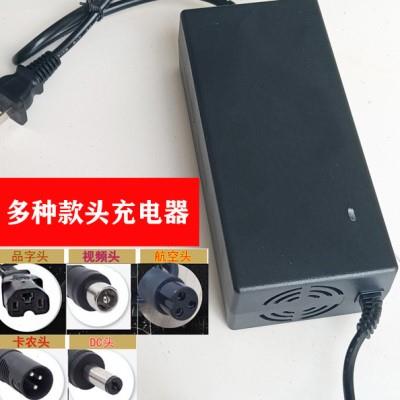 电动滑板车希洛普哈雷代步车代驾车锂电池充电器48v36v24v42v通用
