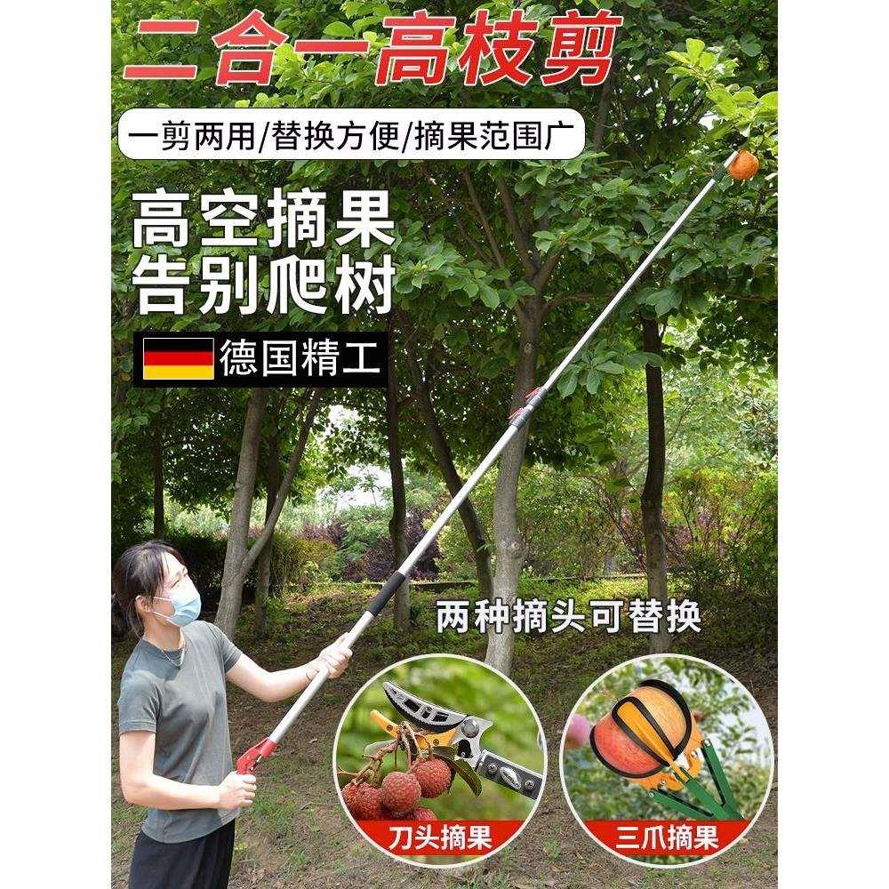 德国精工摘柿子工具摘果神器伸缩杆高空采摘龙眼摘酸枣石榴摘果器