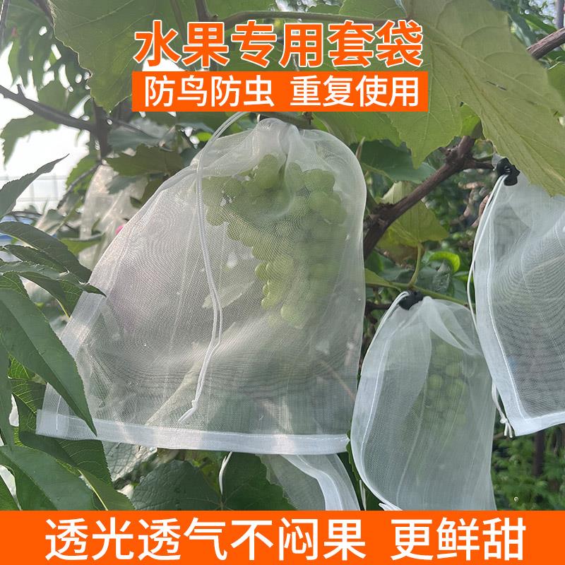 水果套袋专用葡萄套袋桃子西瓜火龙果无花果苦瓜番茄网袋防鸟防虫
