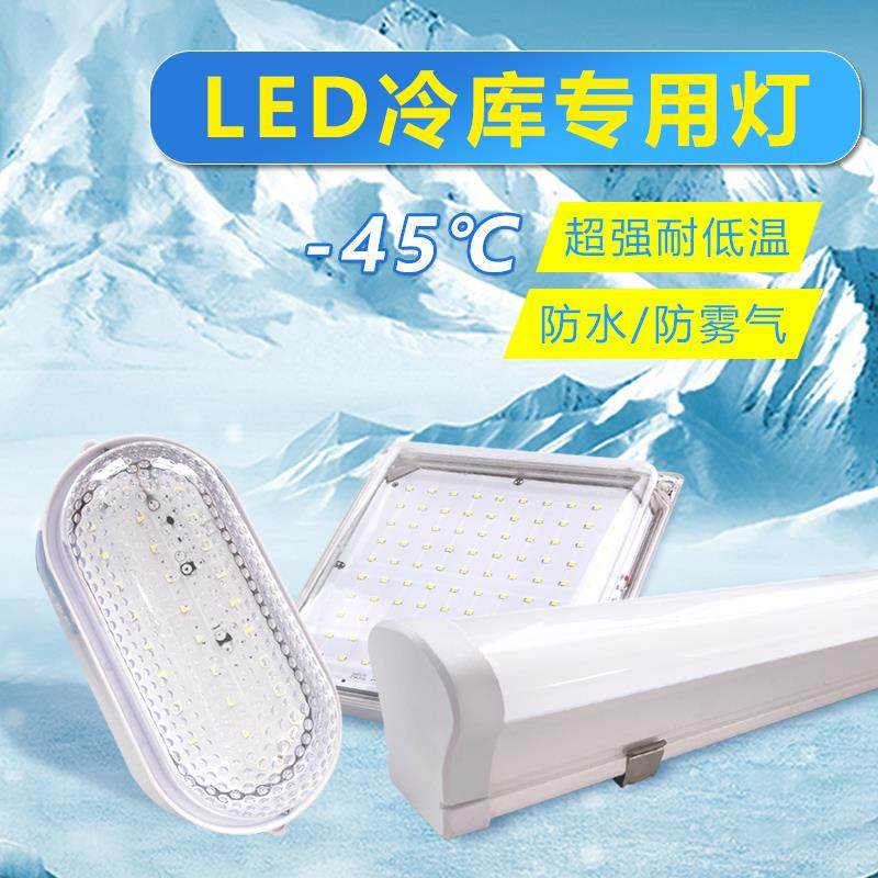 冷库专用led灯 低温防爆灯冻库防水灯 IP65防潮三防灯低压24V36V