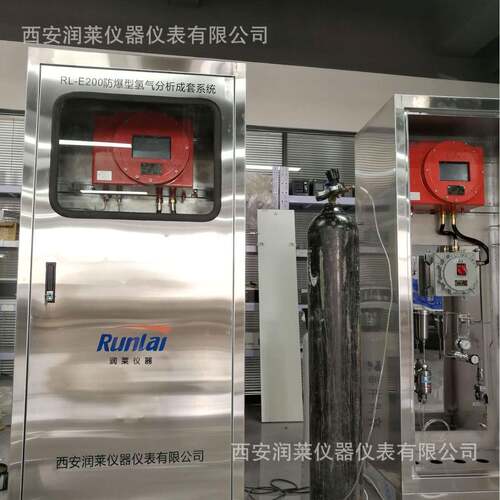 防爆氢分析系统隔爆氢气分析系统氢气纯度分析仪
