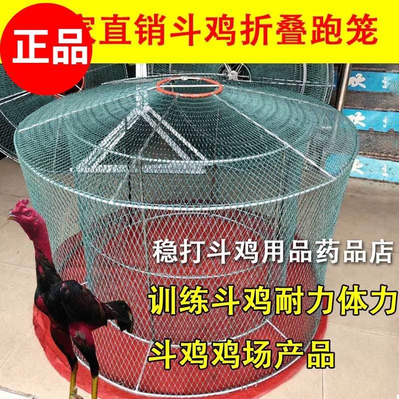 斗鸡用品专用斗鸡跑笼折r叠训练鸡笼折叠跑笼组装鸡罩笼加粗钢条