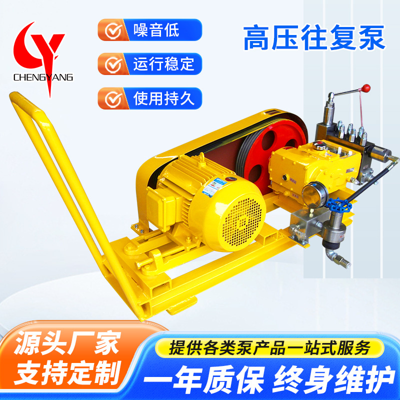 移动式3DP35型高压往复泵 高压除磷往复泵设备 高压泵三柱塞