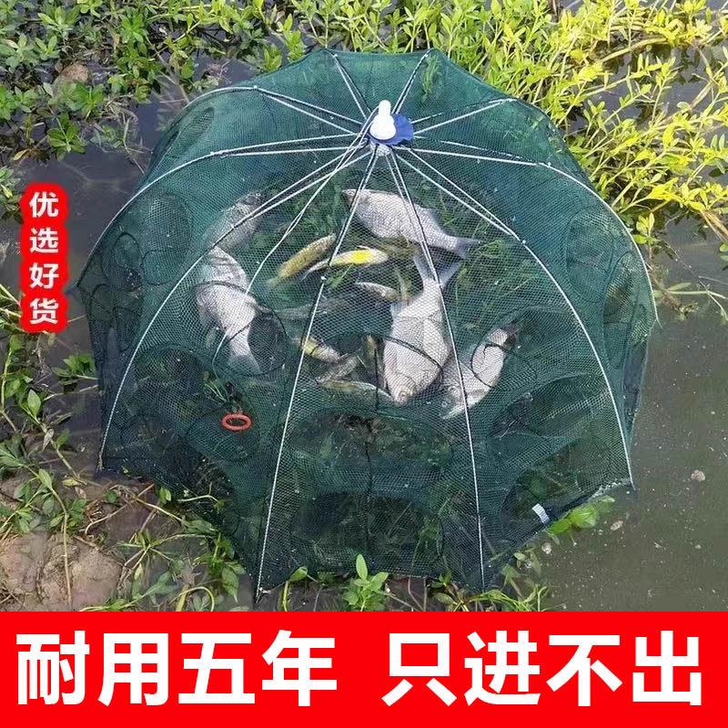 虾笼鱼网渔网折叠伞笼捕虾网捕鱼笼黄鳝龙虾网螃蟹笼网抓扑捉网兜图片